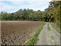 Bridleway to Betteshanger