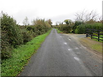 R6826 : Road from Kilmurry (Martinstown) to Cush by Peter Wood