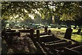 SX9065 : Torquay Cemetery by Derek Harper