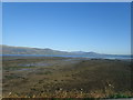 J2011 : Extensive mud flats exposed at Low Water in the bay between Carlingford Harbour and Greenore Point by Eric Jones