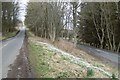 Snowdrops, Fountainhall