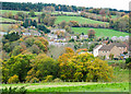 Autumnal trees at edge of Howdenburn Glen