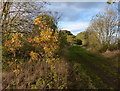 Track near Denton Lodge Farm