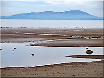 NY0640 : Low tide on the Solway Firth by Andrew Curtis