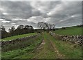 SK2155 : Track to Hoe Grange by Neil Theasby