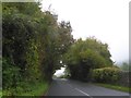 A tunnel of trees over the A466