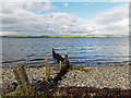 Fenceline at Easterton