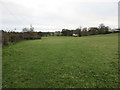 Grass field at Orchard