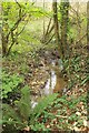 Stream by Lower Walditch Lane