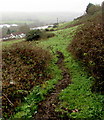 Track on the southeast side of Penrhiwfer Road, Penrhiwfer