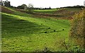 Terracettes and strip lynchets, Innsacre