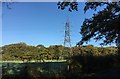 Pylon near the Cuckfield Road