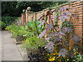 ST5071 : Tintesfield Estate garden by norman griffin