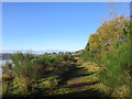 Footpath between Bowling Harbour and the railway