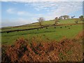 SO0934 : Trehenry landscape by Jonathan Wilkins