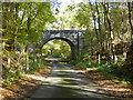 Railway bridge over Raffin Green Lane