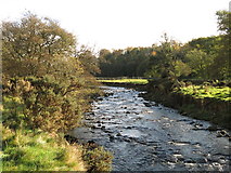 NY8257 : The River East Allen by Bishopfield Haugh by Mike Quinn
