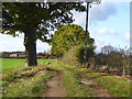 Farm track running west from Drove Road