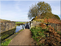 SD7807 : Manchester, Bolton and Bury Canal, Former Bridge Abutments at Radcliffe by David Dixon