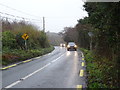 L6956 : A typical stretch of the N59 road that connects Connemara to the rest of Ireland by David Sands
