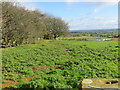 Field edge view from the Triangulation Pillar on Shenlow Hill