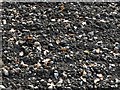 SK3030 : Glaciated pebbles in a tilled field, Porter's Lane, Findern by Alan Murray-Rust
