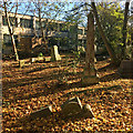 Various monuments, West Norwood Cemetery (58)