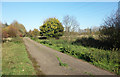 Colne Valley Way near Richings Park