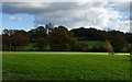 Water Tower by Batchelors Farm