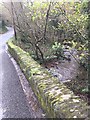 Bridge over Goodwick brook