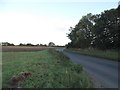 TL2729 : Unnamed road east of Weston Church End by David Howard