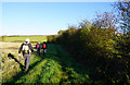 Path leading to Longhowes Plantation