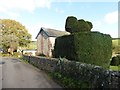 Topiary, Dalwood