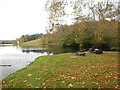 Fisherman Opposite The Lake