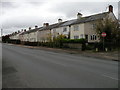 Hamilton Terrace, Exning Road