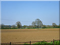 Field north of Higham church