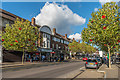 Orpington High Street - poppies