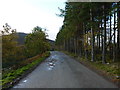 Track on Dunmaglass Estate