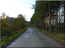 NH6023 : Track on Dunmaglass Estate by Richard Law