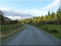 NH5922 : Track through Dunmaglass estate by Richard Law