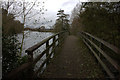 Bridge taking the Thames Path over Back Water