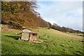 Field edge with mobile sheep feeder