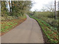 Cow Lane heading to Swerford