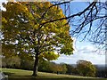 Eaglesfield Recreation Ground in autumn