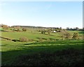 Feeder valley for Umborne Brook