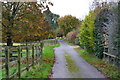 Track through Houghton Down Farm