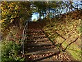 Steps leading to Stirling Road