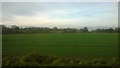 Kelvedon: fields north-west of the railway, from the train