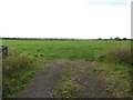 Grass field at Carr Grange Farm