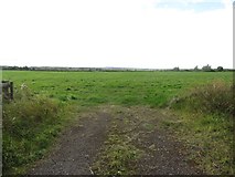 NZ2074 : Grass field at Carr Grange Farm by Graham Robson
